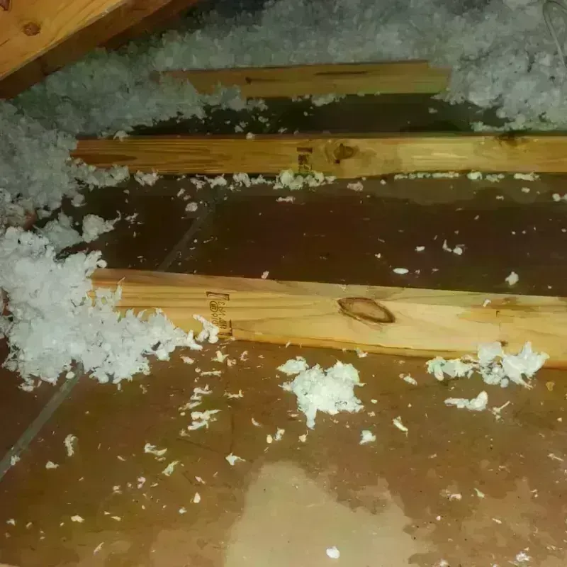 Attic Water Damage in Lone Star, TX