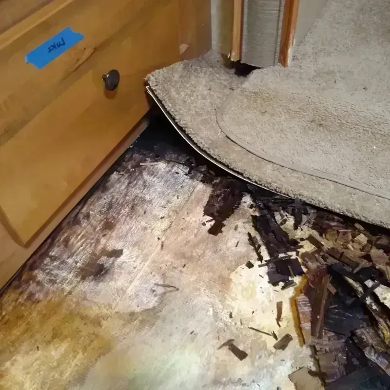 Wood Floor Water Damage in Lone Star, TX